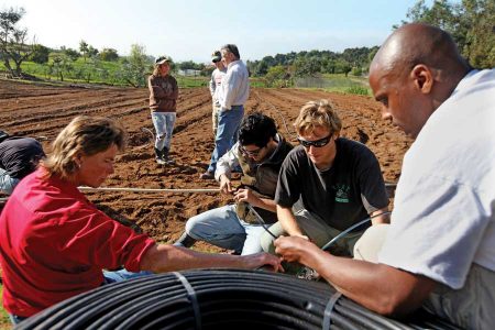 Military Veterans Learn to Farm with Farmer-Veteran Coalition Image